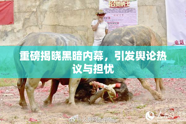 重磅揭晓黑暗内幕，引发舆论热议与担忧