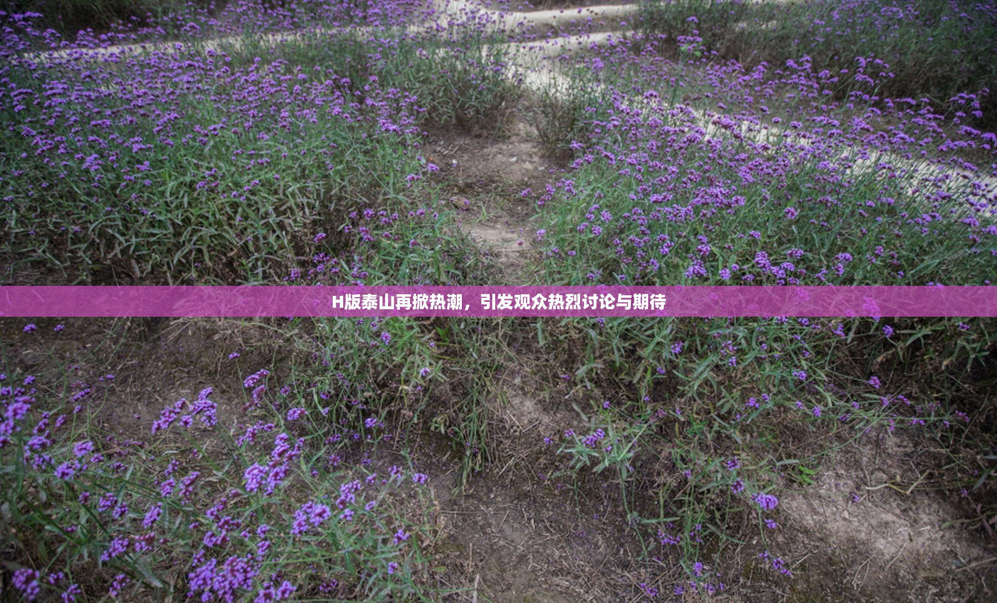 H版泰山再掀热潮，引发观众热烈讨论与期待