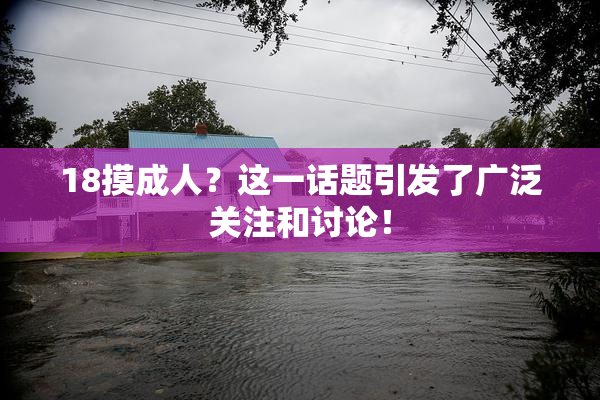 18摸成人？这一话题引发了广泛关注和讨论！