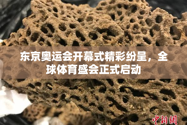 东京奥运会开幕式精彩纷呈，全球体育盛会正式启动