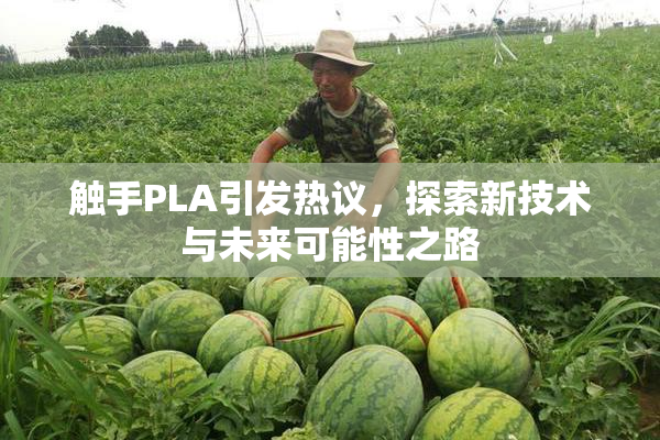触手PLA引发热议，探索新技术与未来可能性之路