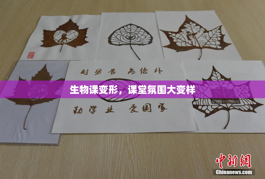 生物课变形，课堂氛围大变样