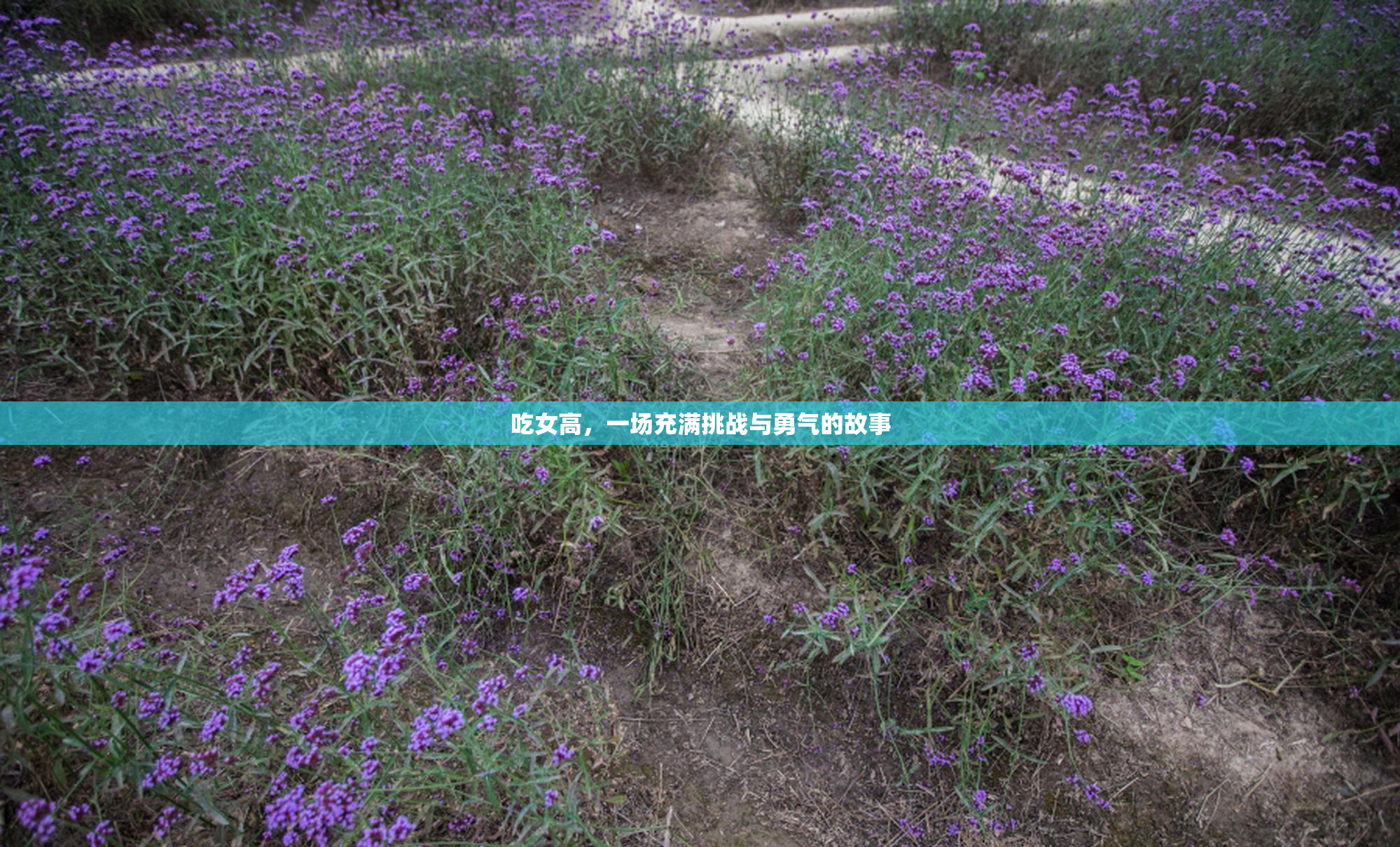 吃女高，一场充满挑战与勇气的故事