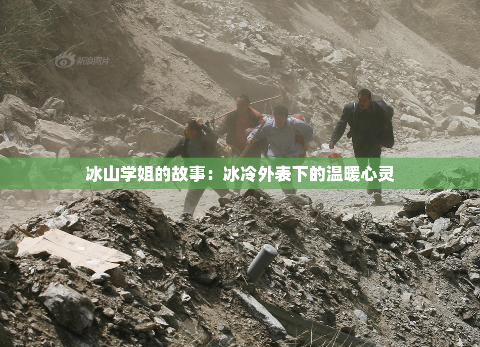 冰山学姐的故事：冰冷外表下的温暖心灵