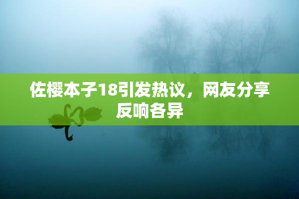 佐樱本子18引发热议，网友分享反响各异