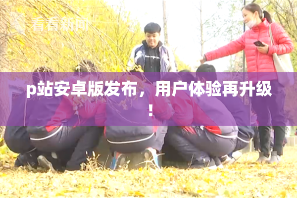 p站安卓版发布，用户体验再升级！