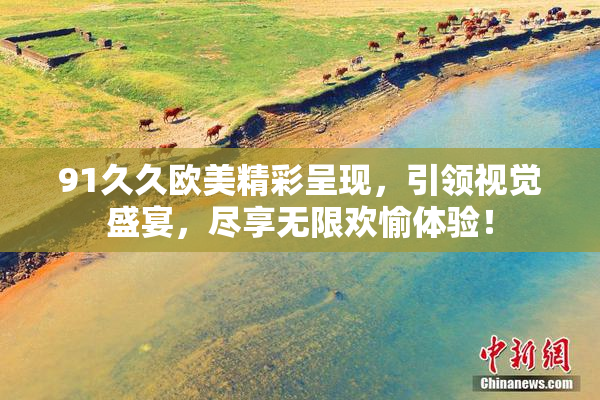 91久久欧美精彩呈现，引领视觉盛宴，尽享无限欢愉体验！