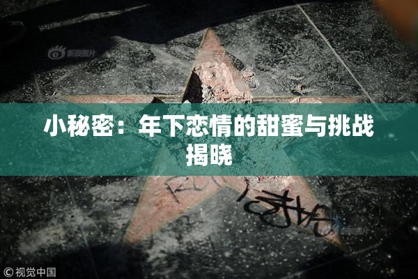 小秘密：年下恋情的甜蜜与挑战揭晓