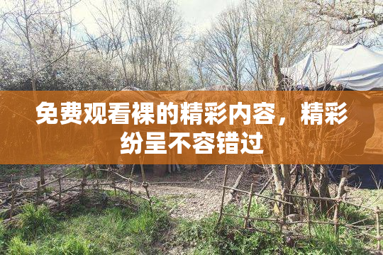 免费观看裸的精彩内容，精彩纷呈不容错过