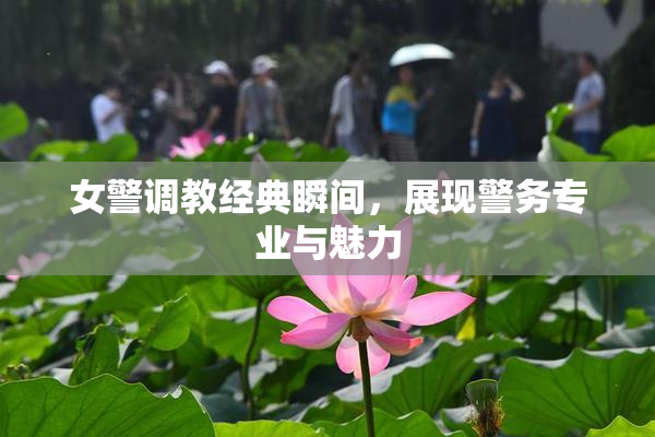 女警调教经典瞬间，展现警务专业与魅力