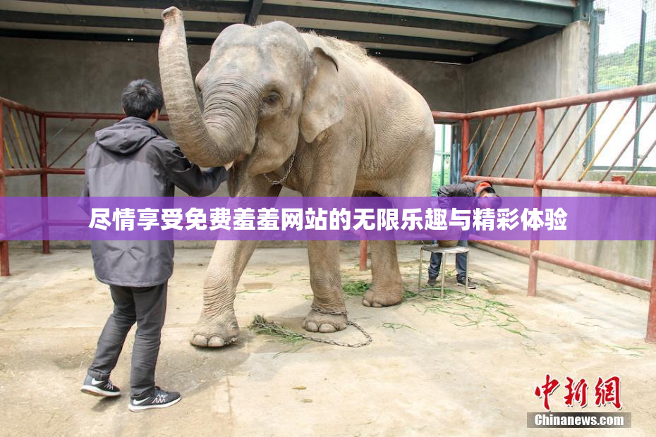 尽情享受免费羞羞网站的无限乐趣与精彩体验