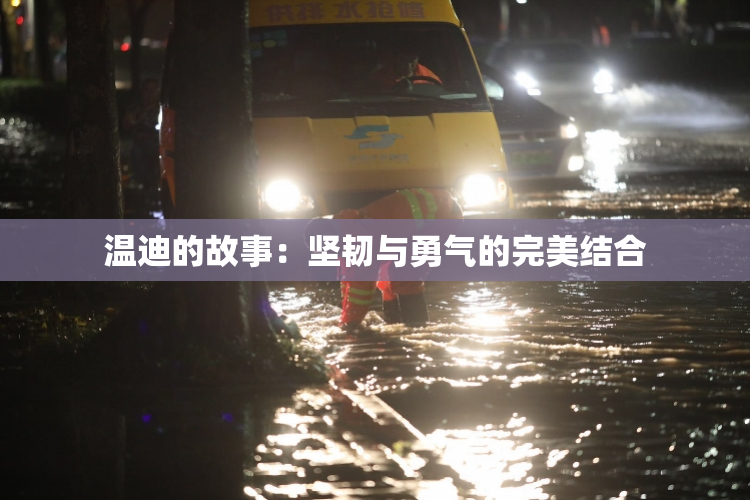 温迪的故事：坚韧与勇气的完美结合