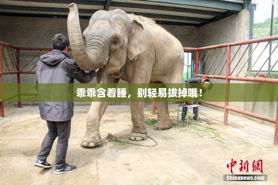 乖乖含着睡，别轻易拔掉哦！