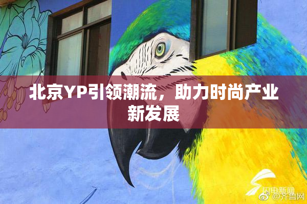 北京YP引领潮流，助力时尚产业新发展