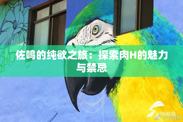 佐鸣的纯欲之旅：探索肉H的魅力与禁忌