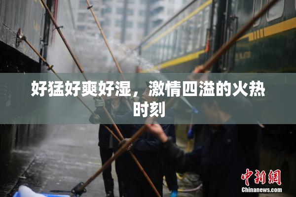好猛好爽好湿，激情四溢的火热时刻