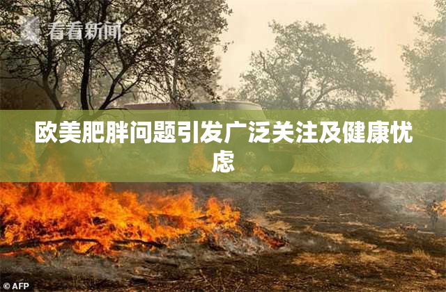 欧美肥胖问题引发广泛关注及健康忧虑