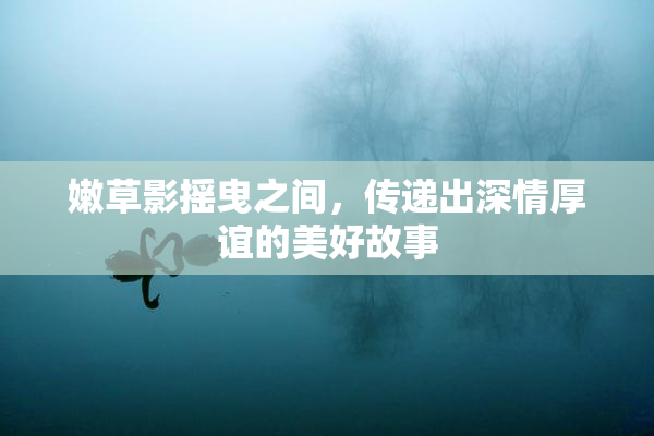 嫩草影摇曳之间，传递出深情厚谊的美好故事