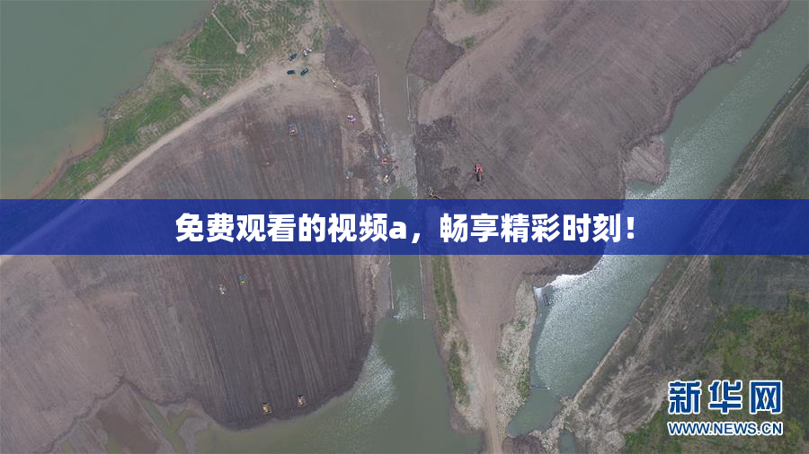 免费观看的视频a，畅享精彩时刻！
