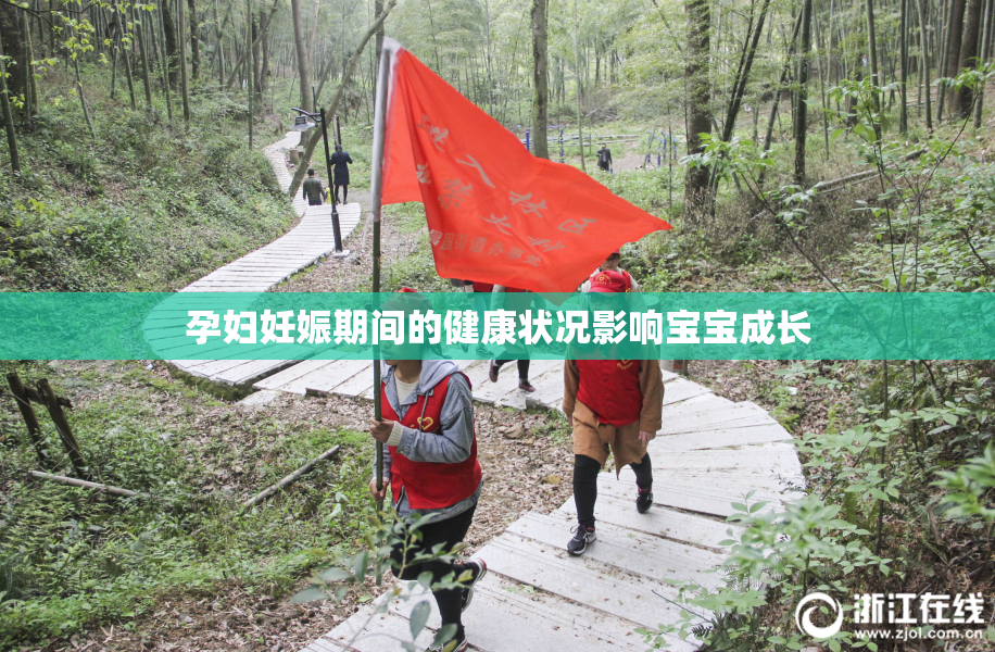 孕妇妊娠期间的健康状况影响宝宝成长