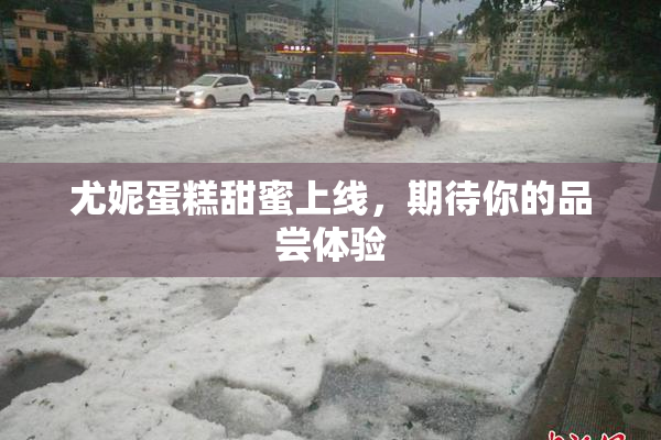 尤妮蛋糕甜蜜上线，期待你的品尝体验