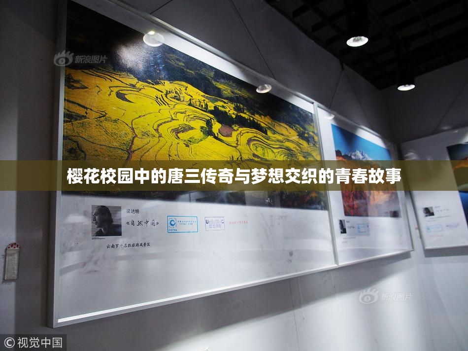 樱花校园中的唐三传奇与梦想交织的青春故事