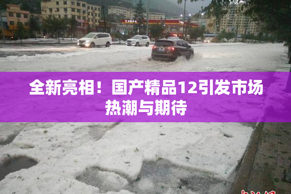 全新亮相！国产精品12引发市场热潮与期待
