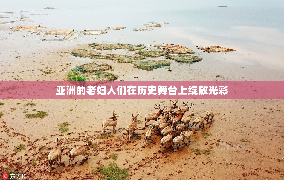 亚洲的老妇人们在历史舞台上绽放光彩