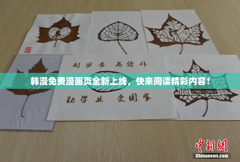 韩漫免费漫画页全新上线，快来阅读精彩内容！