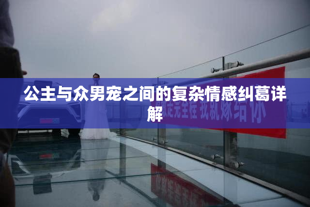 公主与众男宠之间的复杂情感纠葛详解