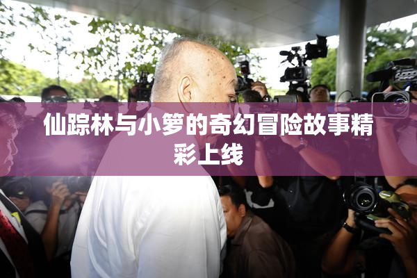 仙踪林与小箩的奇幻冒险故事精彩上线