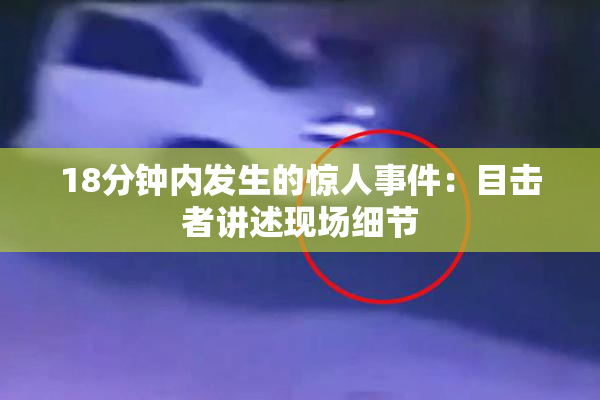 18分钟内发生的惊人事件：目击者讲述现场细节