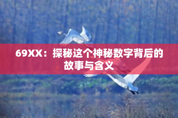 69ΧΧ：探秘这个神秘数字背后的故事与含义