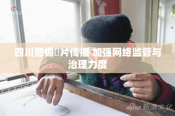 四川警惕婬片传播 加强网络监管与治理力度