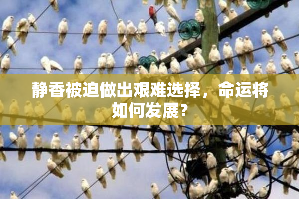 静香被迫做出艰难选择，命运将如何发展？