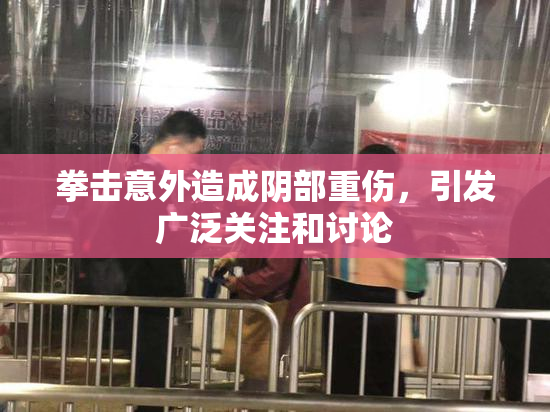 拳击意外造成阴部重伤，引发广泛关注和讨论