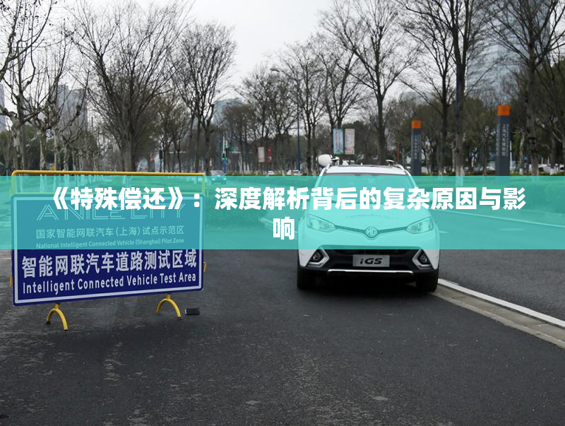 《特殊偿还》：深度解析背后的复杂原因与影响