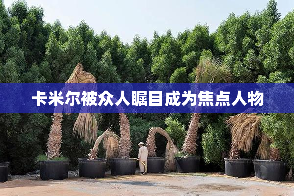 卡米尔被众人瞩目成为焦点人物