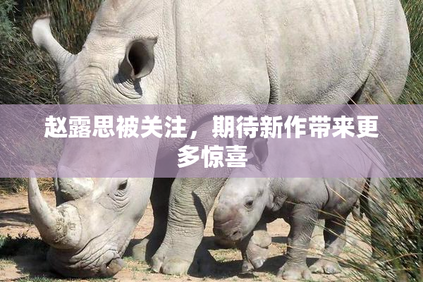 赵露思被关注，期待新作带来更多惊喜