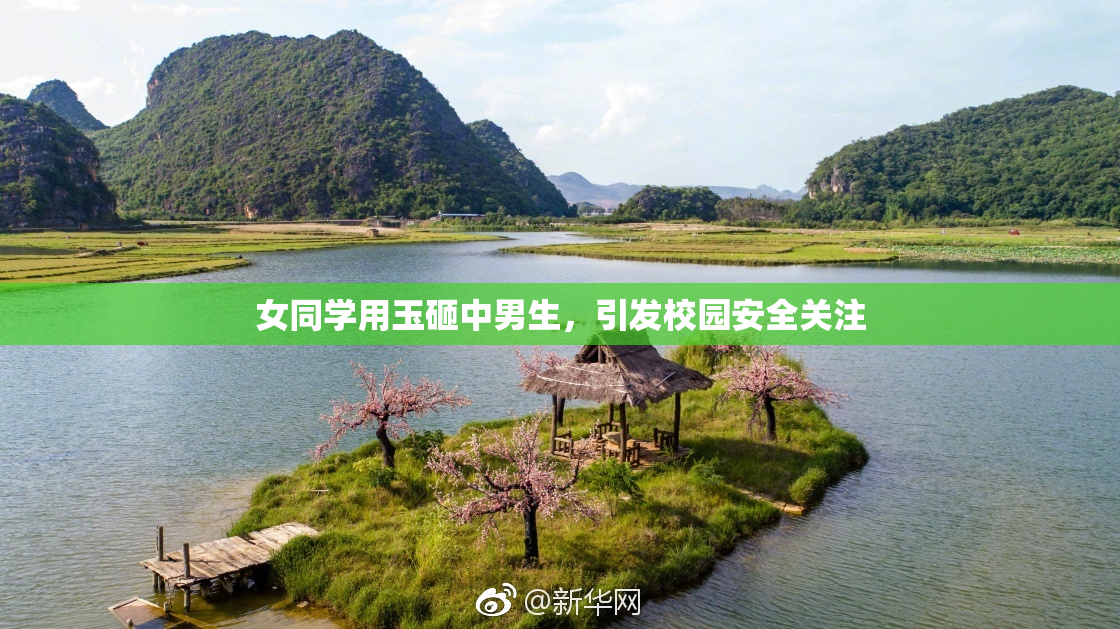 女同学用玉砸中男生，引发校园安全关注