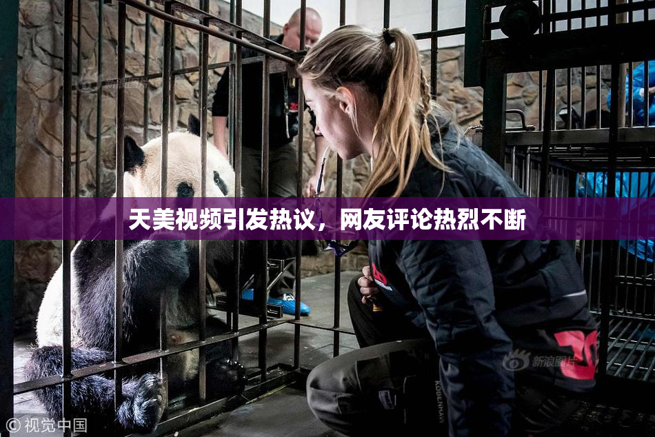 天美视频引发热议，网友评论热烈不断