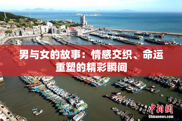 男与女的故事：情感交织、命运重塑的精彩瞬间