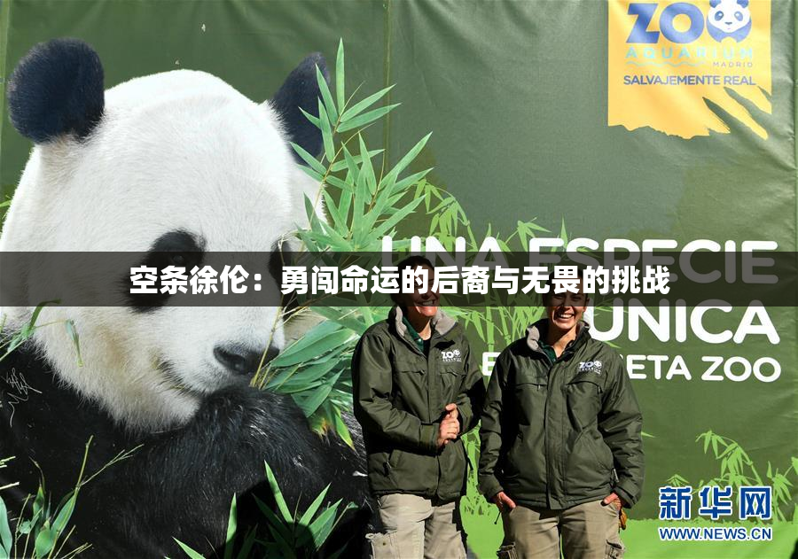 空条徐伦：勇闯命运的后裔与无畏的挑战