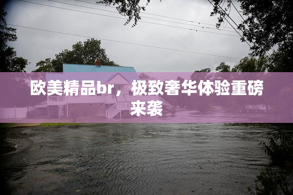 欧美精品br，极致奢华体验重磅来袭