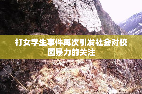 打女学生事件再次引发社会对校园暴力的关注