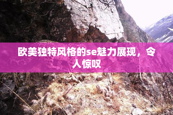 欧美独特风格的se魅力展现，令人惊叹