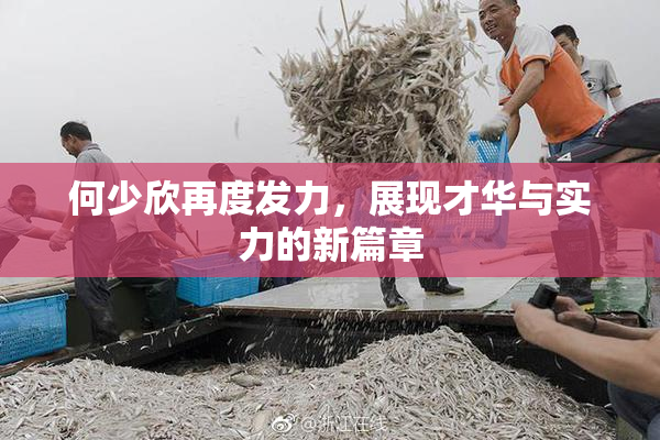 何少欣再度发力，展现才华与实力的新篇章