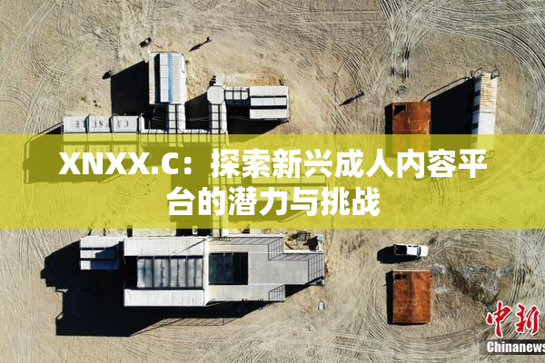 XNXX.C：探索新兴成人内容平台的潜力与挑战