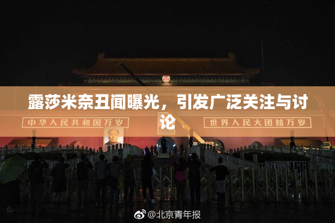 露莎米奈丑闻曝光，引发广泛关注与讨论