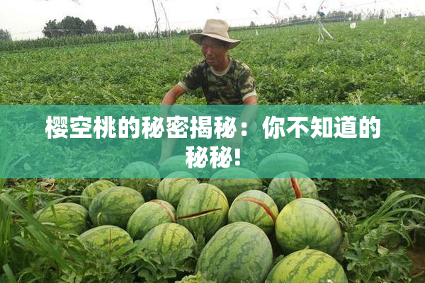 樱空桃的秘密揭秘：你不知道的秘秘!